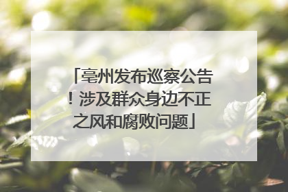 亳州发布巡察公告！涉及群众身边不正之风和腐败问题