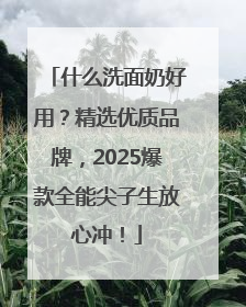 什么洗面奶好用？精选优质品牌，2025爆款全能尖子生放心冲！