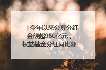 今年以来公募分红金额超950亿元，权益基金分红同比翻倍｜招财猫