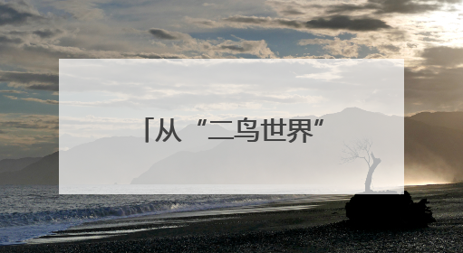 从“二鸟世界”到“五口之家” 一对东方白鹳的黄河口之恋
