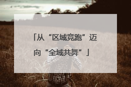 从“区域竞跑”迈向“全域共舞”