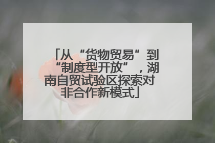 从“货物贸易”到“制度型开放”，湖南自贸试验区探索对非合作新模式
