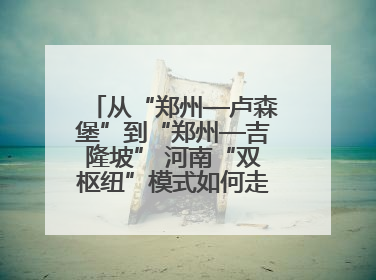 从“郑州—卢森堡”到“郑州—吉隆坡” 河南“双枢纽”模式如何走向全球