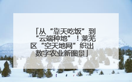从“靠天吃饭”到“云端种地”！莱芜区“空天地网”织出数字农业新图景