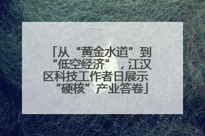 从“黄金水道”到“低空经济”，江汉区科技工作者日展示“硬核”产业答卷