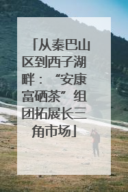 从秦巴山区到西子湖畔：“安康富硒茶”组团拓展长三角市场