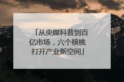 从央媒科普到百亿市场，六个核桃打开产业新空间