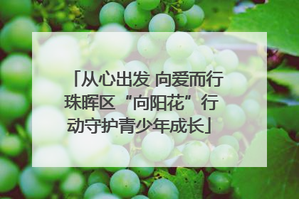 从心出发 向爱而行 珠晖区“向阳花”行动守护青少年成长