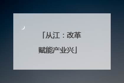 从江：改革赋能产业兴