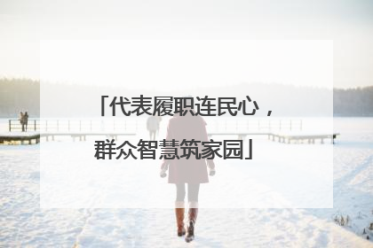 代表履职连民心，群众智慧筑家园