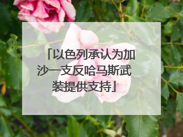 以色列承认为加沙一支反哈马斯武装提供支持