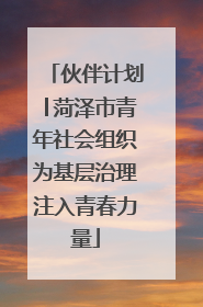 伙伴计划│菏泽市青年社会组织为基层治理注入青春力量