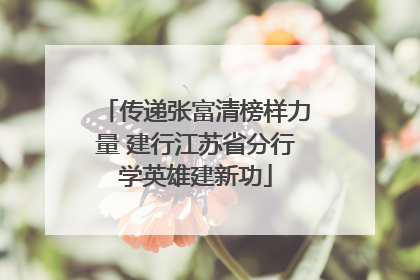 传递张富清榜样力量 建行江苏省分行学英雄建新功