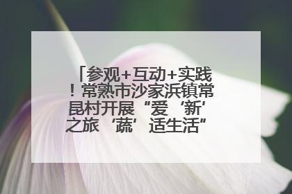 参观+互动+实践！常熟市沙家浜镇常昆村开展“爱‘新’之旅‘蔬’适生活”参观学习活动
