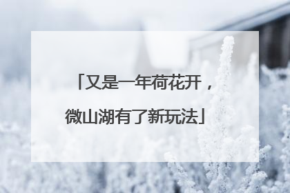 又是一年荷花开，微山湖有了新玩法