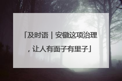及时语｜安徽这项治理，让人有面子有里子