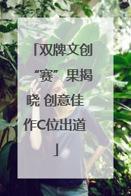 双牌文创“赛”果揭晓 创意佳作C位出道