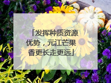 发挥种质资源优势，元江芒果香更长走更远
