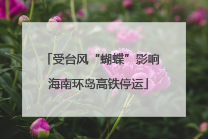 受台风“蝴蝶”影响 海南环岛高铁停运