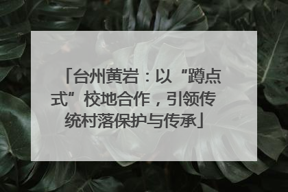 台州黄岩：以“蹲点式”校地合作，引领传统村落保护与传承