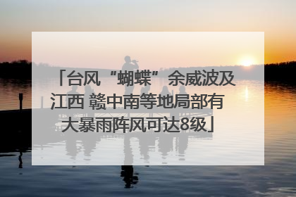 台风“蝴蝶”余威波及江西 赣中南等地局部有大暴雨阵风可达8级