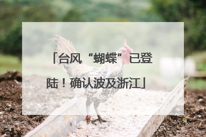 台风“蝴蝶”已登陆！确认波及浙江