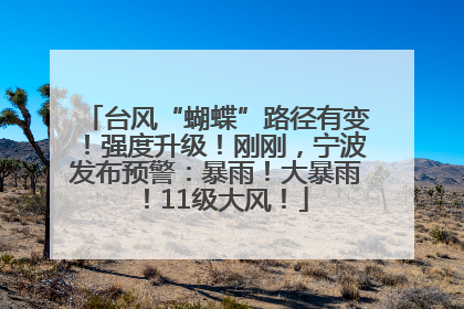台风“蝴蝶”路径有变！强度升级！刚刚，宁波发布预警：暴雨！大暴雨！11级大风！