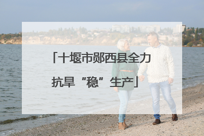 十堰市郧西县全力抗旱“稳”生产