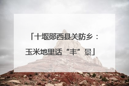 十堰郧西县关防乡：玉米地里话“丰”景