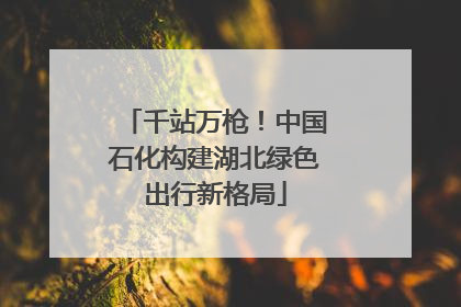 千站万枪！中国石化构建湖北绿色出行新格局