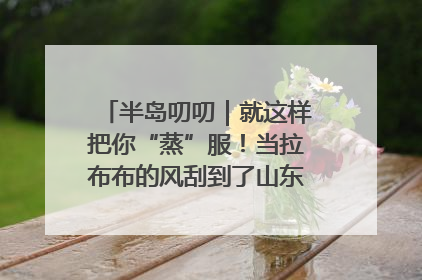 半岛叨叨｜就这样把你“蒸”服！当拉布布的风刮到了山东馒头界……