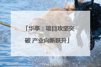 华亭：项目攻坚突破 产业向新跃升
