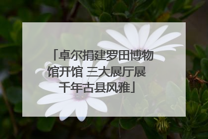 卓尔捐建罗田博物馆开馆 三大展厅展千年古县风雅