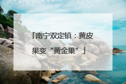 南宁双定镇：黄皮果变“黄金果”