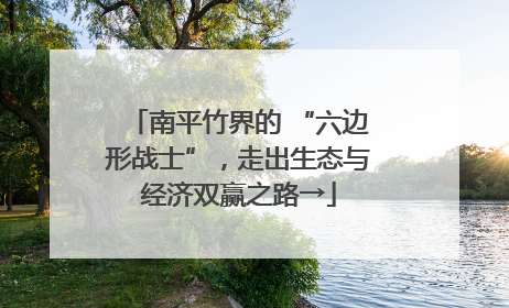 南平竹界的 “六边形战士”，走出生态与经济双赢之路→