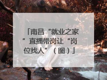 南昌“就业之家”直播带岗让“岗位找人”（图）