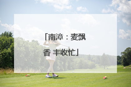 南漳：麦飘香 丰收忙