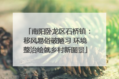 南阳卧龙区石桥镇：移风易俗破陋习 环境整治绘就乡村新图景