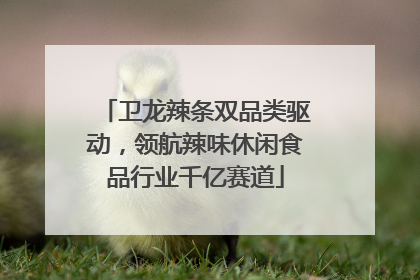 卫龙辣条双品类驱动，领航辣味休闲食品行业千亿赛道