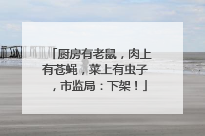 厨房有老鼠，肉上有苍蝇，菜上有虫子，市监局：下架！