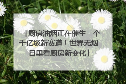 厨房油烟正在催生一个千亿级新赛道！世界无烟日里看厨房新变化