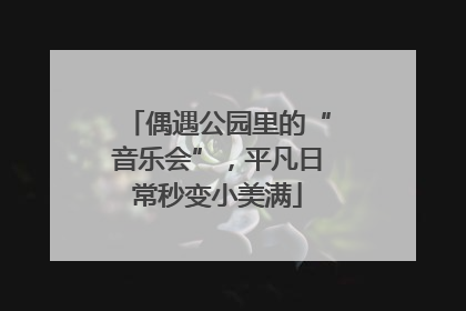 偶遇公园里的“音乐会”，平凡日常秒变小美满