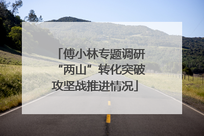傅小林专题调研“两山”转化突破攻坚战推进情况