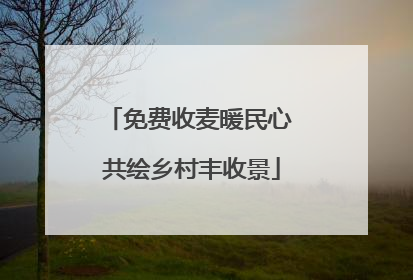 免费收麦暖民心 共绘乡村丰收景