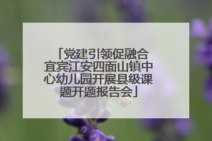 党建引领促融合 宜宾江安四面山镇中心幼儿园开展县级课题开题报告会