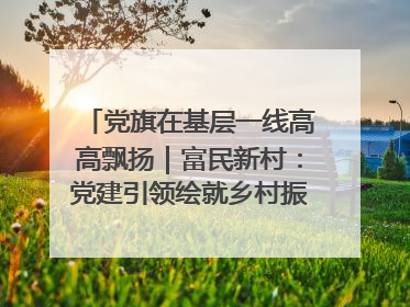 党旗在基层一线高高飘扬｜富民新村：党建引领绘就乡村振兴美丽画卷