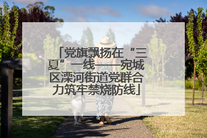 党旗飘扬在“三夏”一线——宛城区溧河街道党群合力筑牢禁烧防线