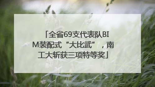 全省69支代表队BIM装配式“大比武”，南工大斩获三项特等奖