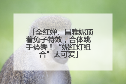 全红婵、昌雅妮顶着兔子特效，合体跳手势舞！“妮红灯组合”太可爱