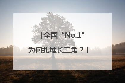 全国“No.1”为何扎堆长三角？